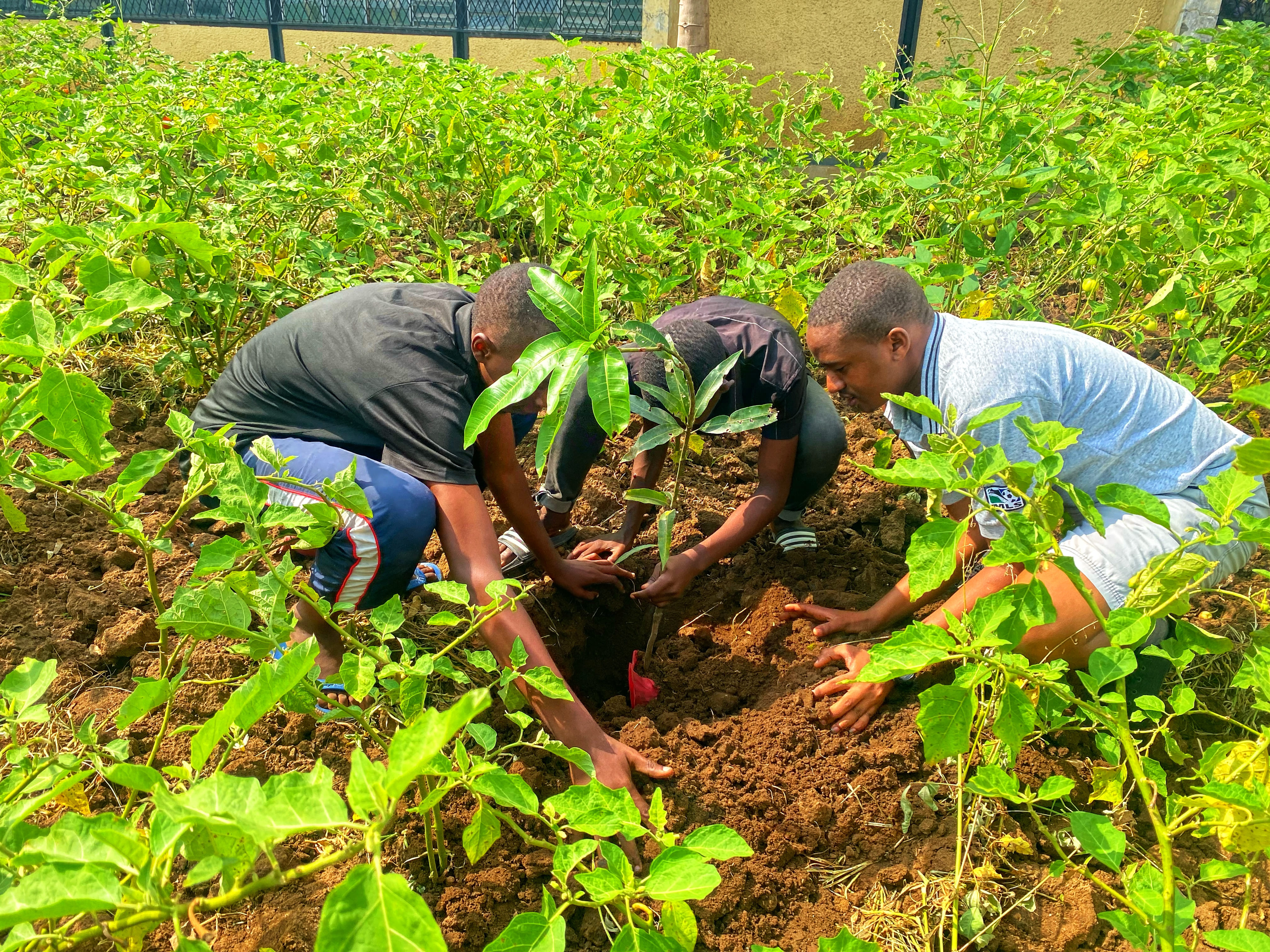Sayangana au Lycee d'Excellence de Ngagara