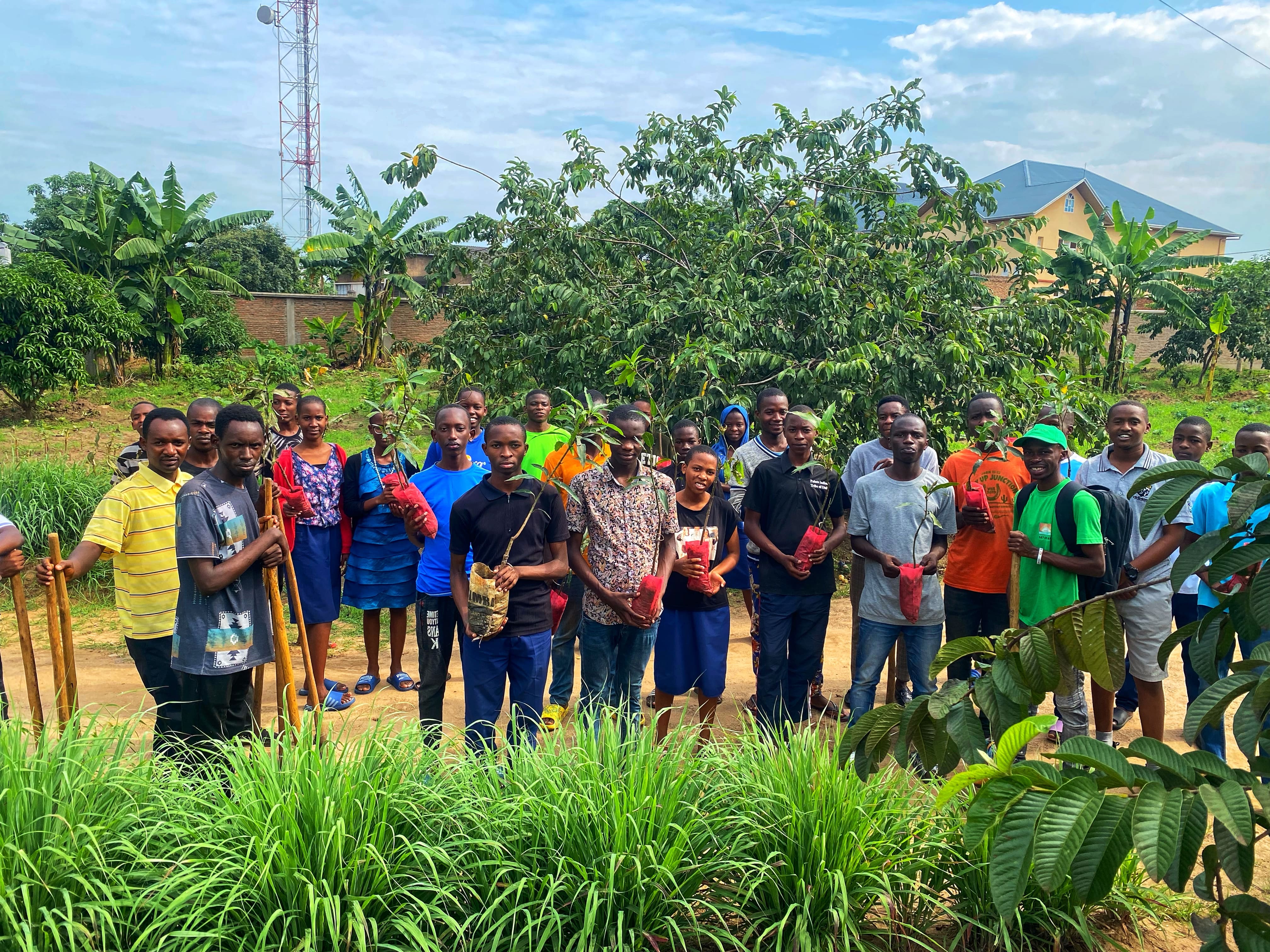 La gestion et l’entretien des arbres